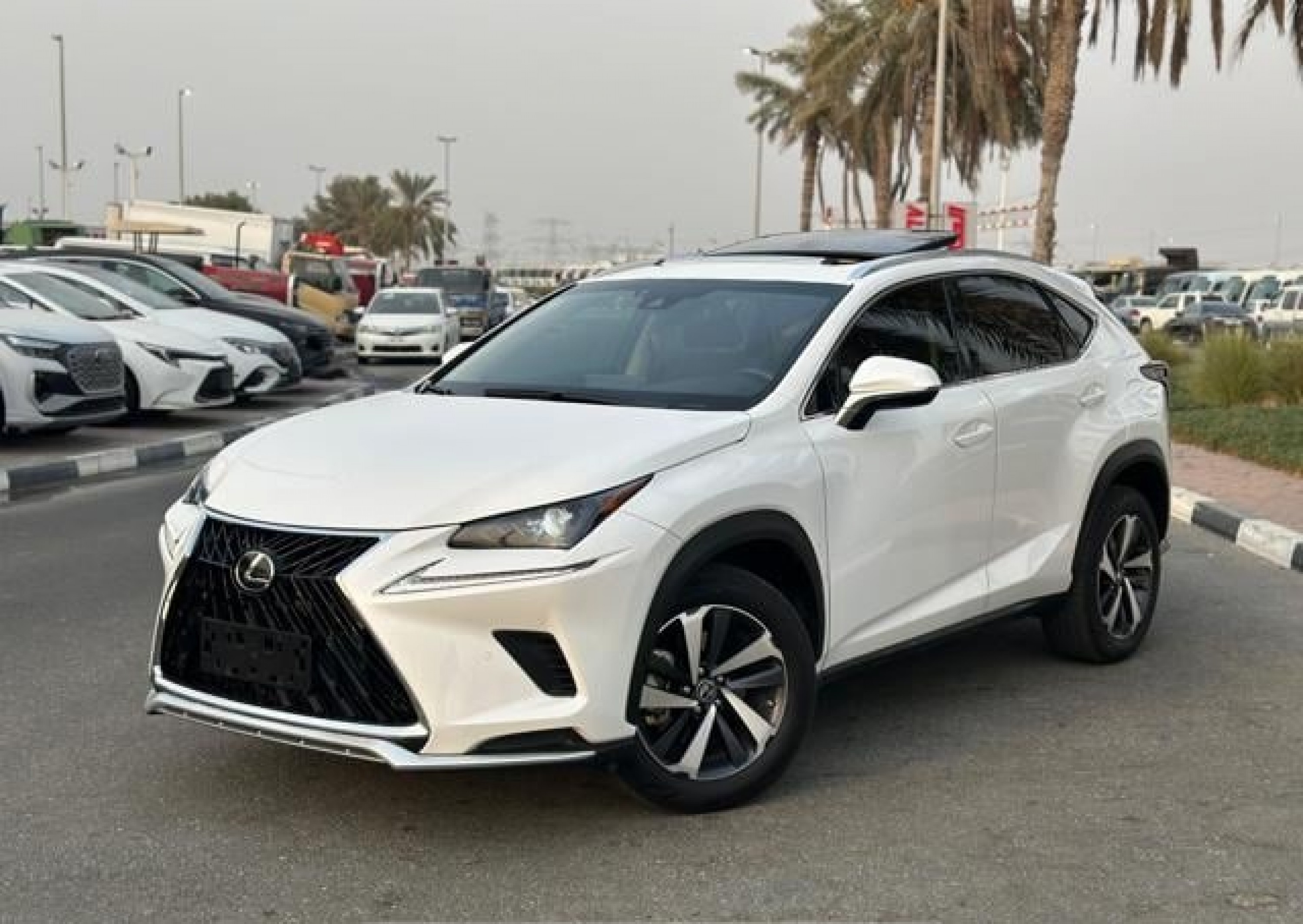 LEXUS NX