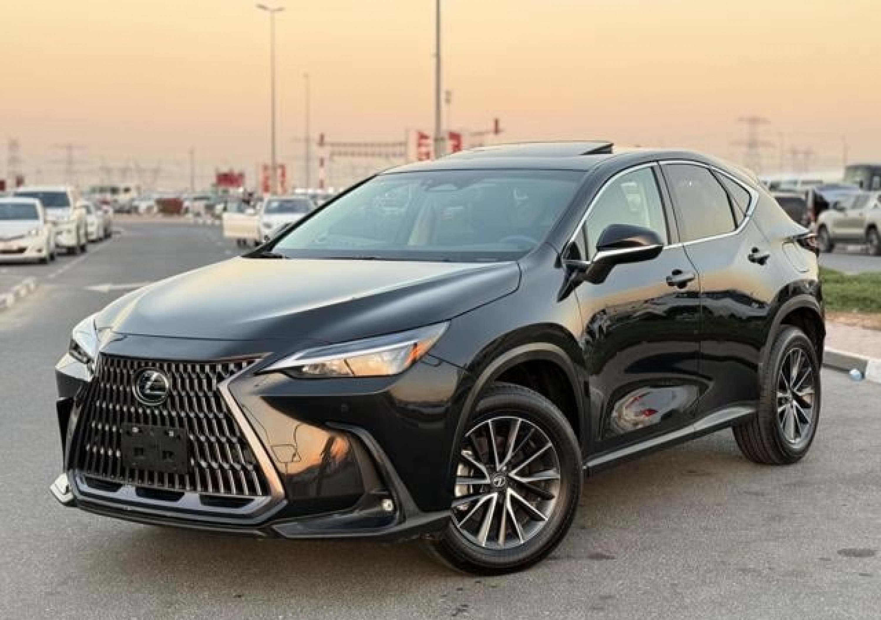 LEXUS NX