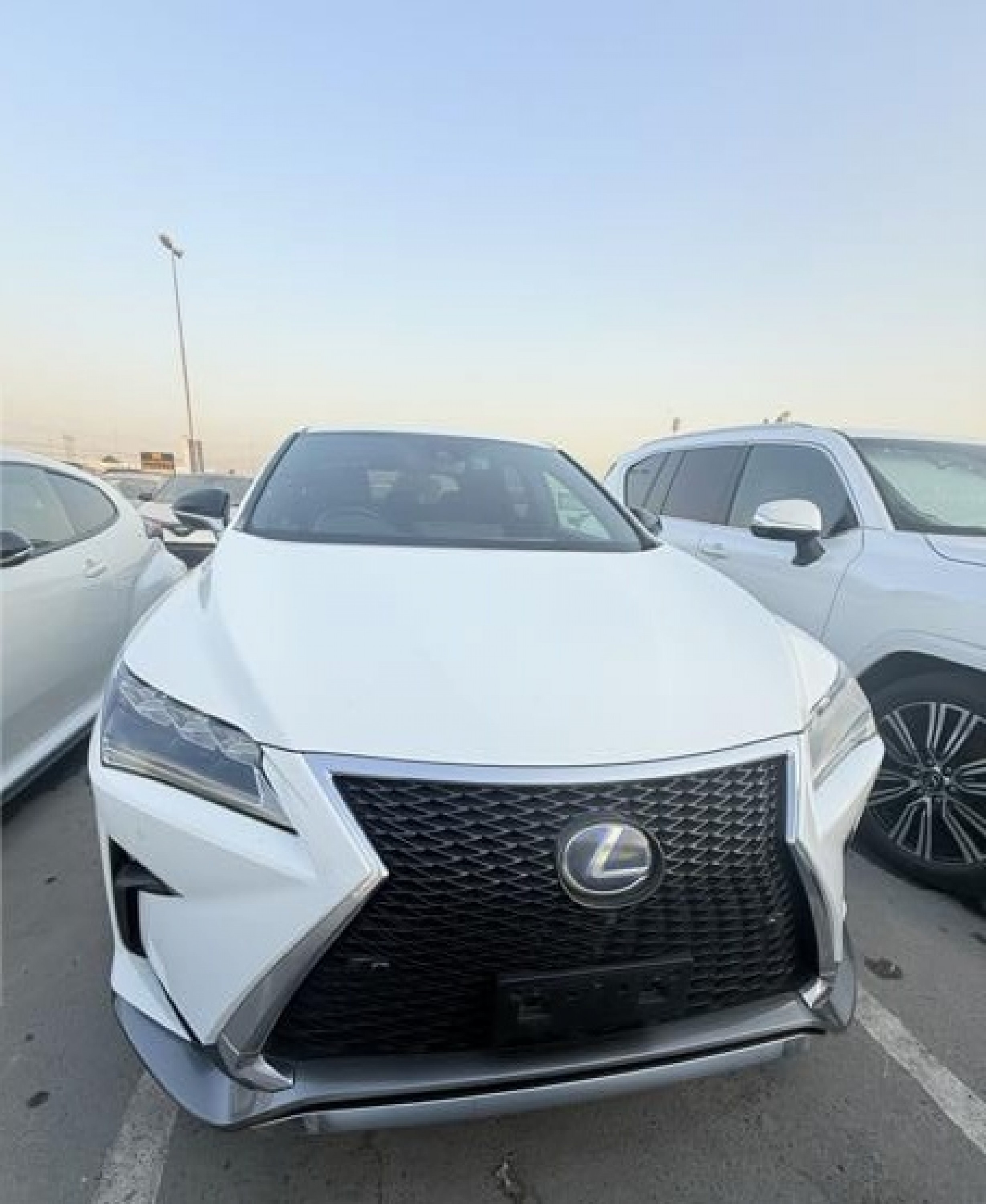 LEXUS LEXUS
